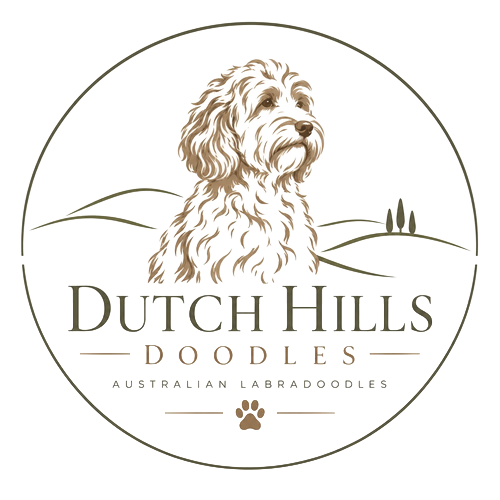 dutchhillsdoodles.nl
